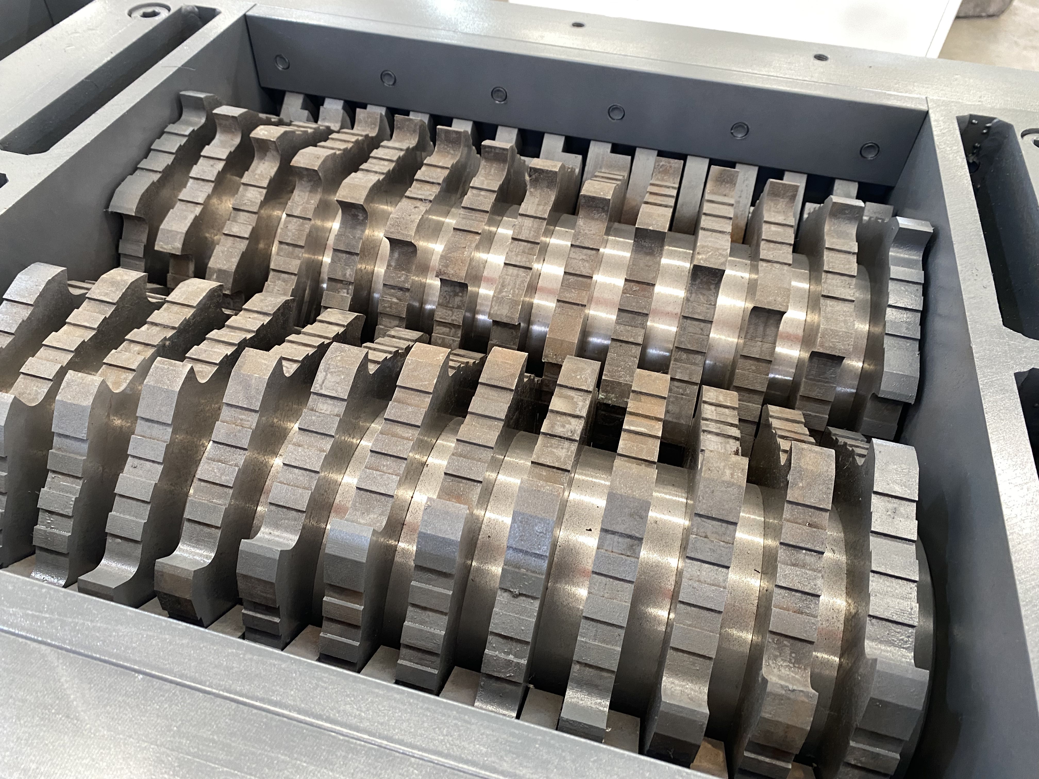 2025_05_09_14_05_IMG_5501