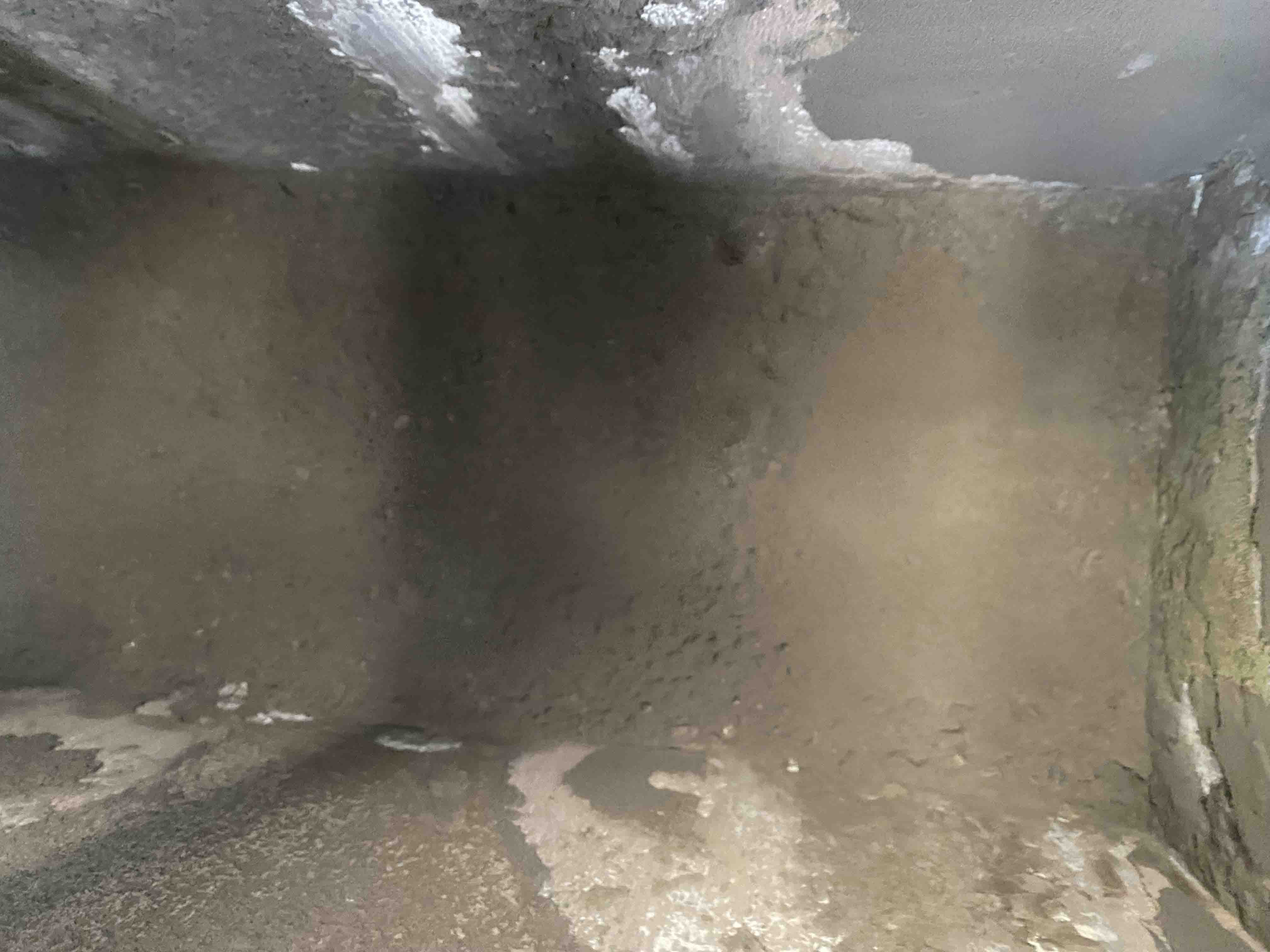 2025_06_06_14_54_IMG_7124