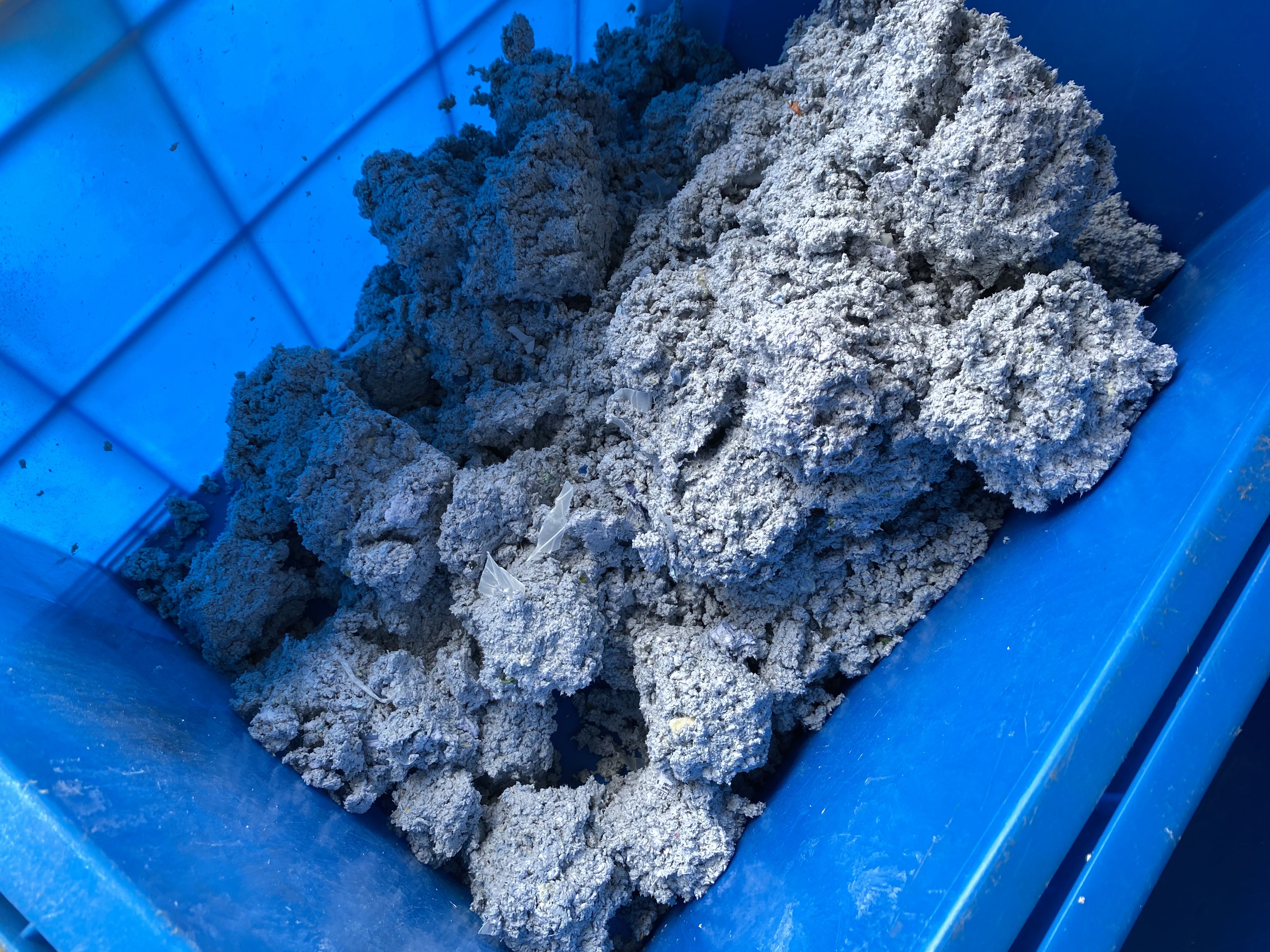 2025_06_20_11_24_IMG_8573