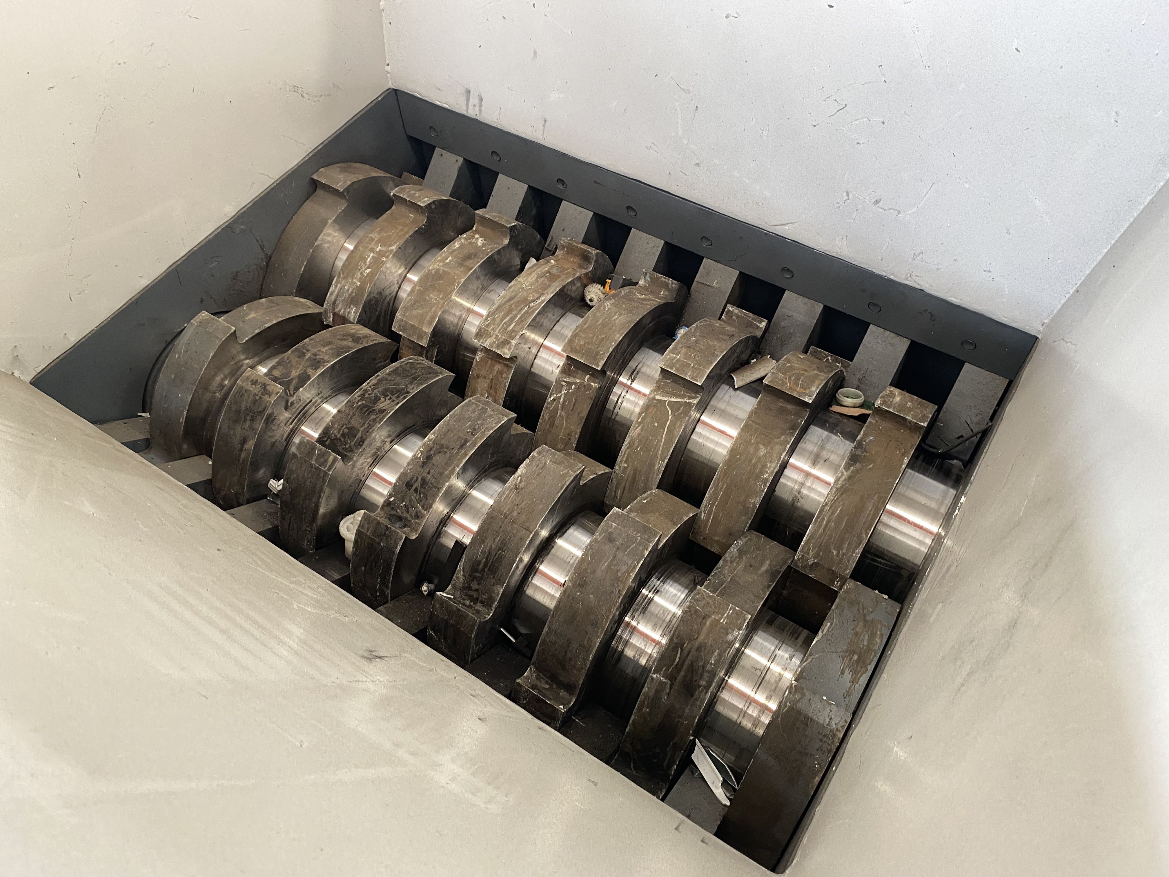 2025_06_04_09_26_IMG_6883