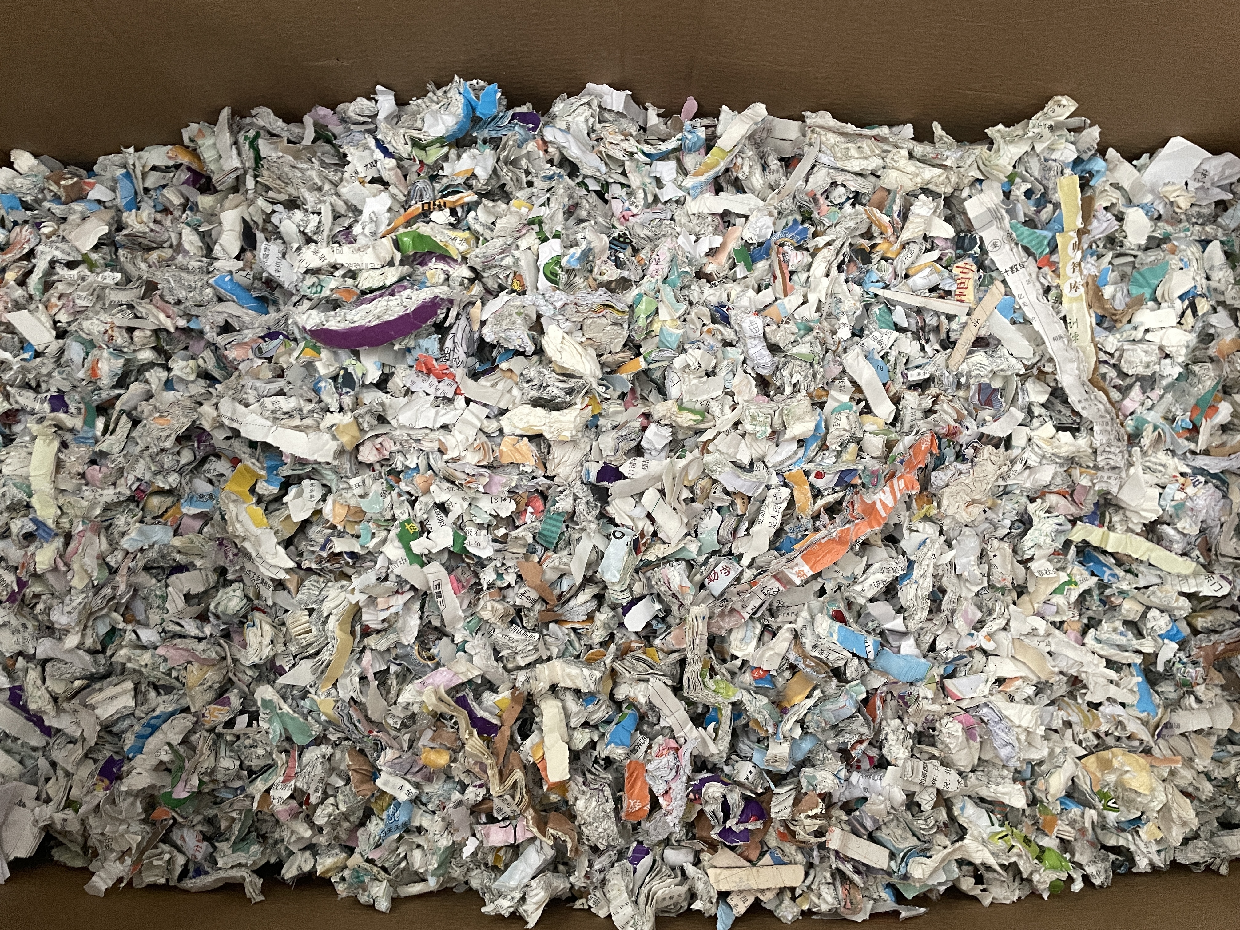 2025_02_27_09_46_IMG_2841